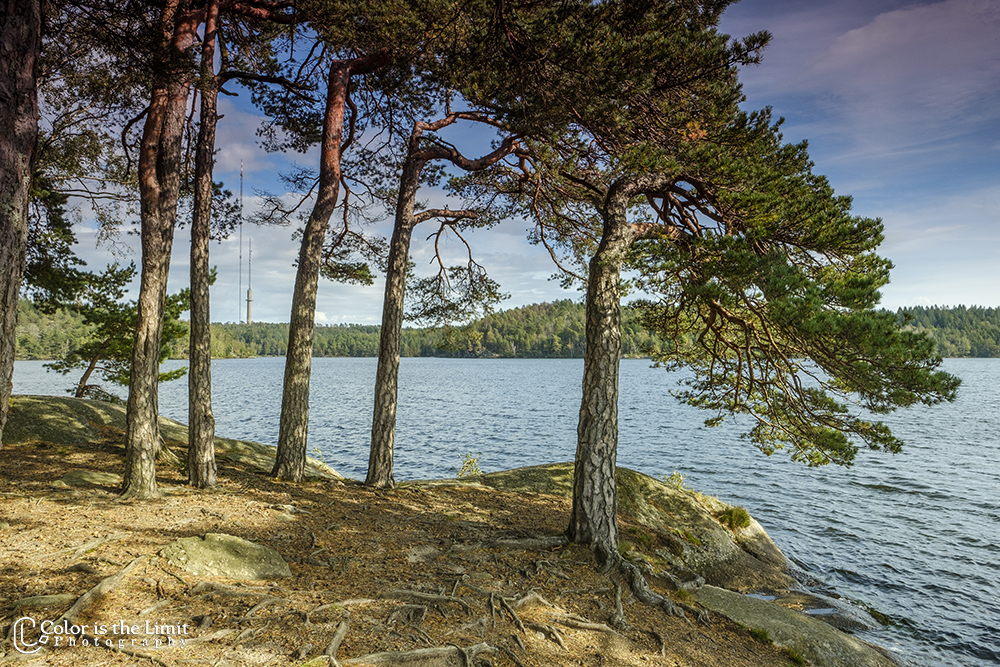 Delsjöområdet Naturreservat Göteborg, Sverige