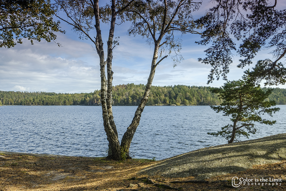 Delsjöområdet Naturreservat Göteborg, Sverige