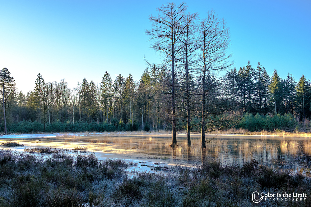 Stiphoutse Bossen, Helmond