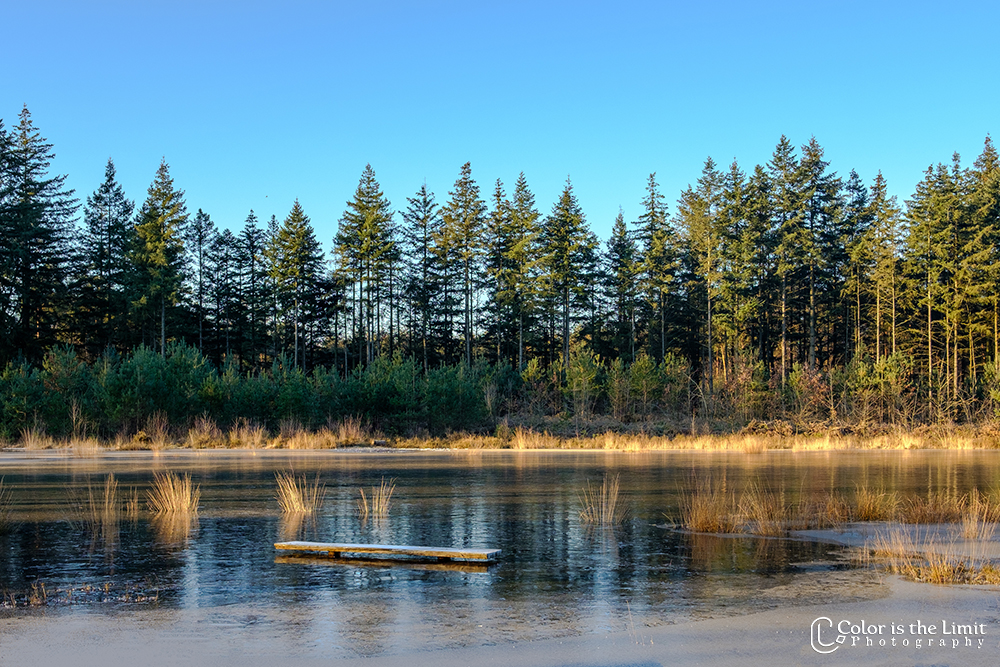 Stiphoutse Bossen, Helmond