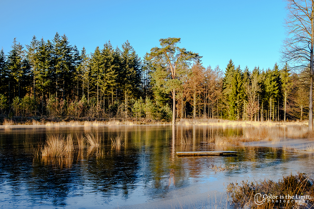 Stiphoutse Bossen, Helmond