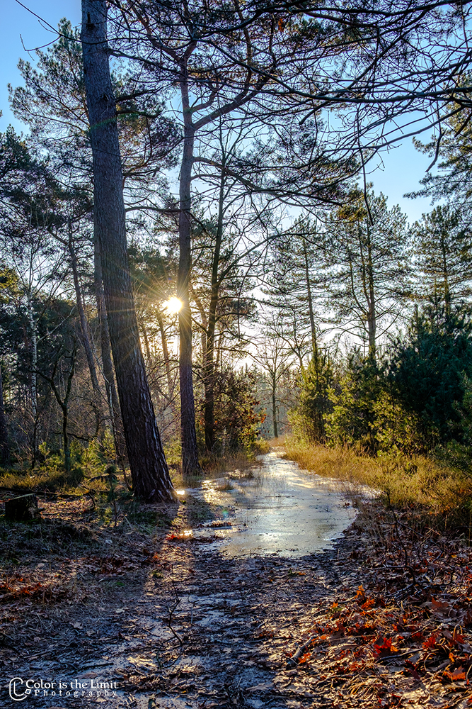 Stiphoutse Bossen, Helmond