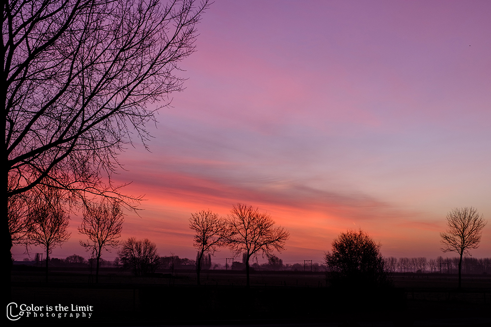 Zaltbommel - Zonsopkomst