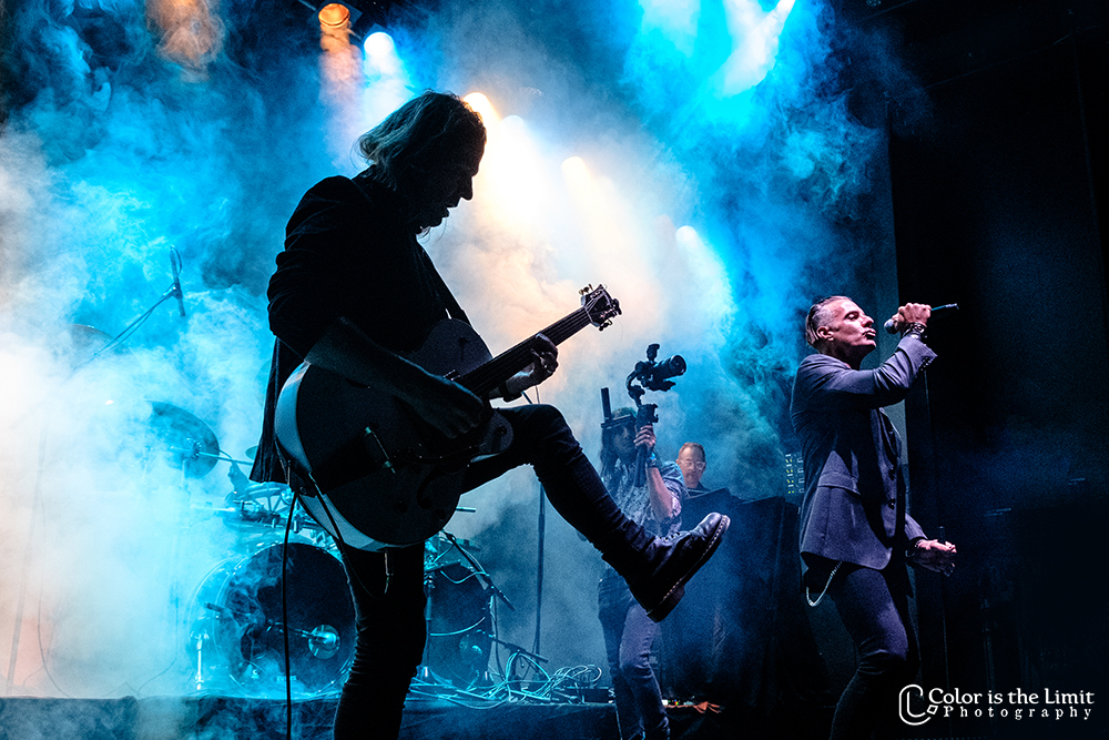 Halo | Depeche Mode Tribute