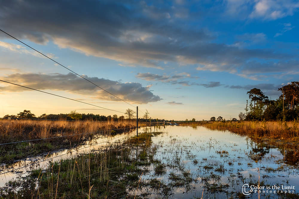 Somerse Heide | zonsondergang