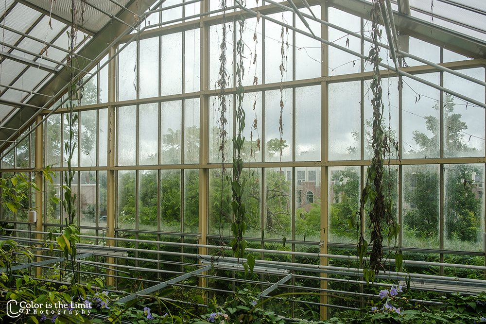 Hortus Botanicus Leiden