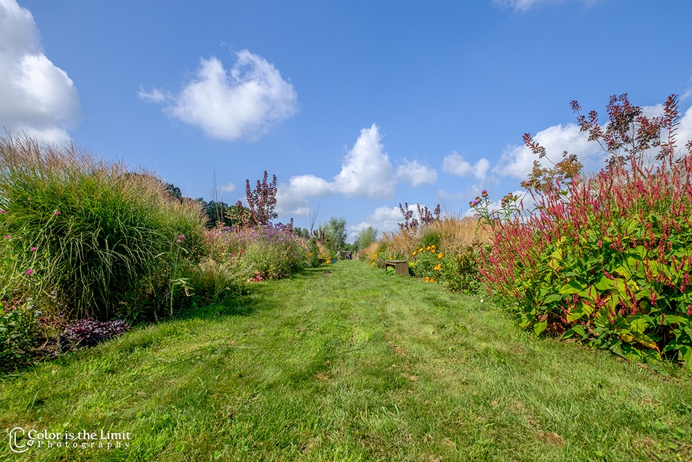 Pluktuin Mooy | Aarle-Rixtel