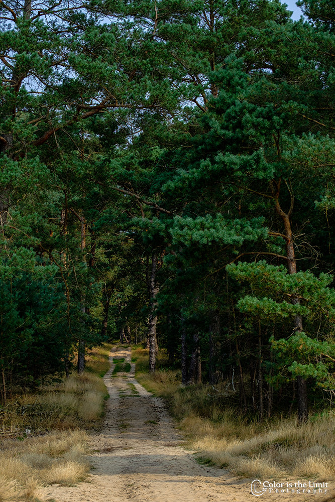 Nationaal Park de Hoge Veluwe