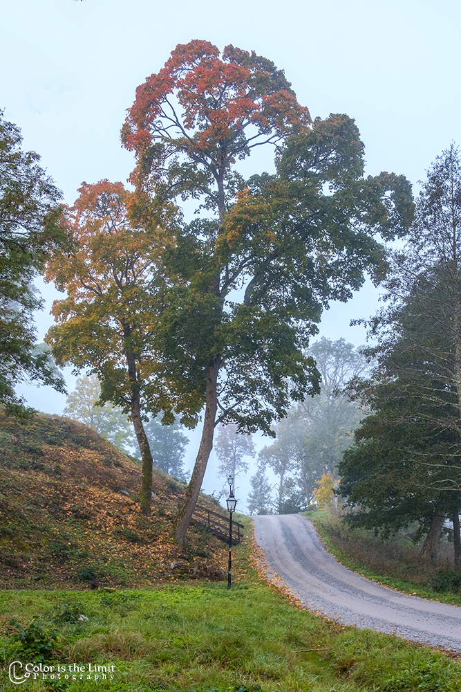 Vakantie 2024 | Uttran, Rimbo, Sverige