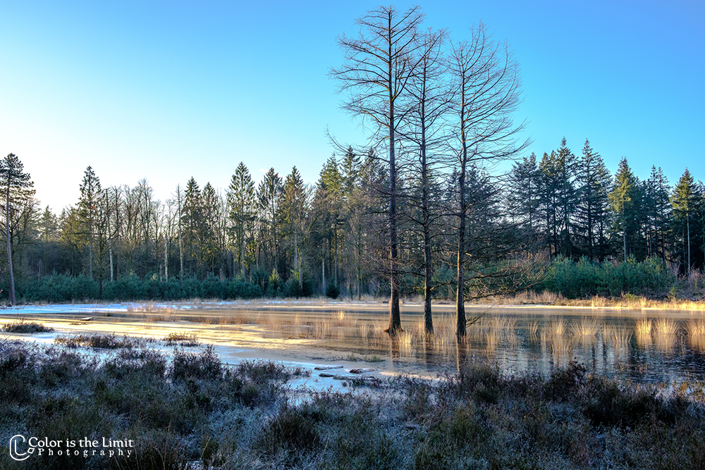 Project 'Het Verdronken Bankje' | Kromven, Stiphoutse bossen