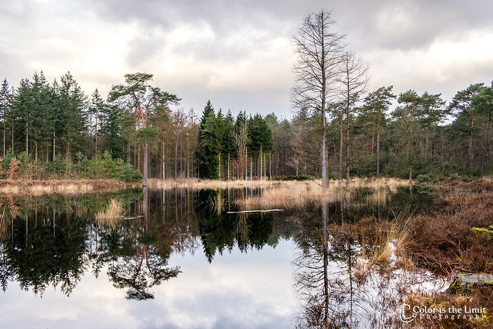 Project 'Het Verdronken Bankje' | Kromven, Stiphoutse bossen
