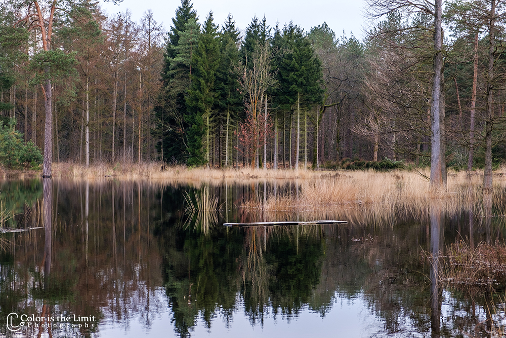 Project 'Het Verdronken Bankje' | Kromven, Stiphoutse bossen