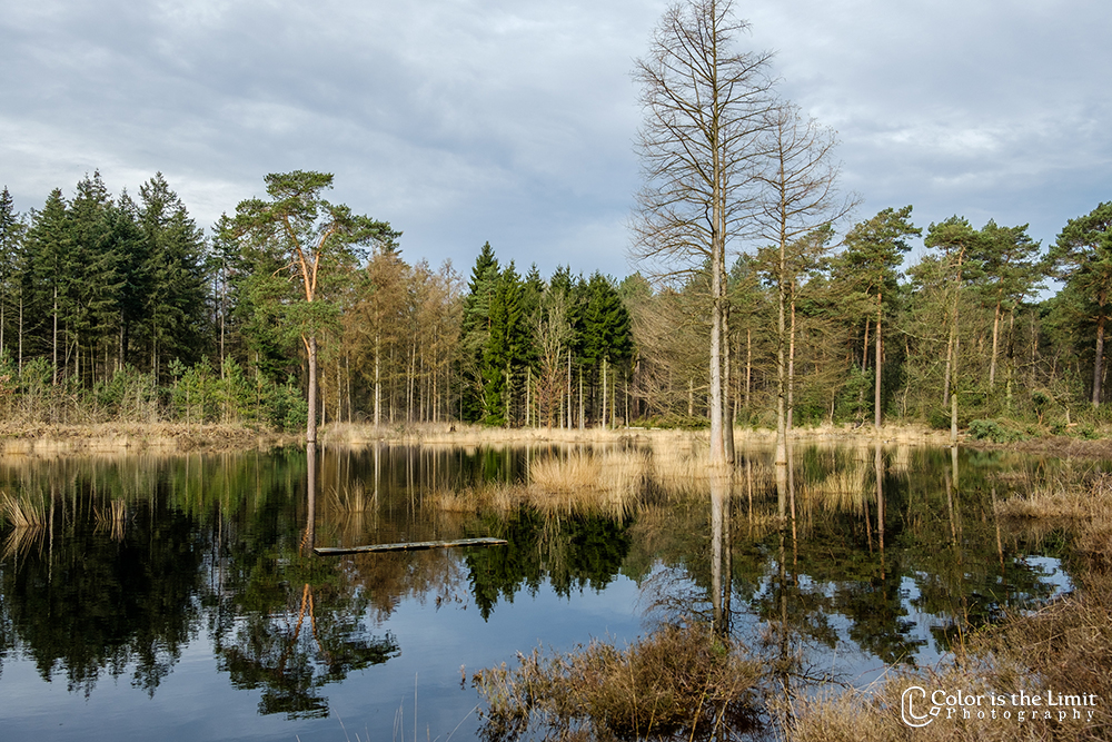 Project 'Het Verdronken Bankje' | Kromven, Stiphoutse bossen