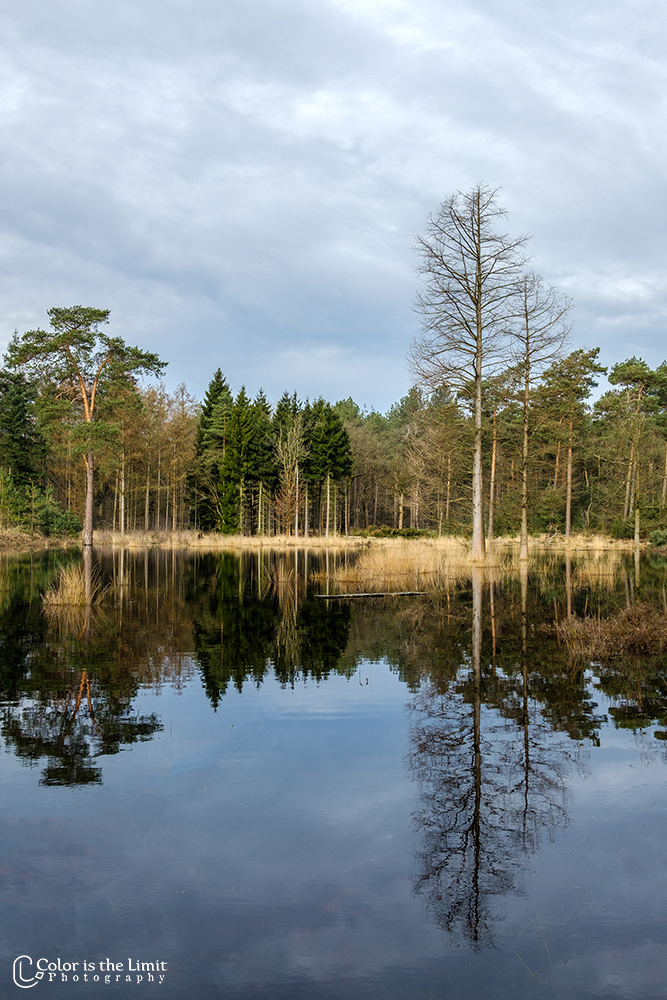 Project 'Het Verdronken Bankje' | Kromven, Stiphoutse bossen
