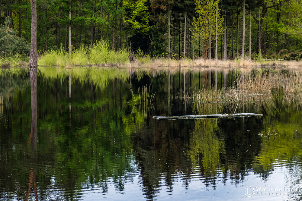 Project 'Het Verdronken Bankje' | Kromven, Stiphoutse bossen