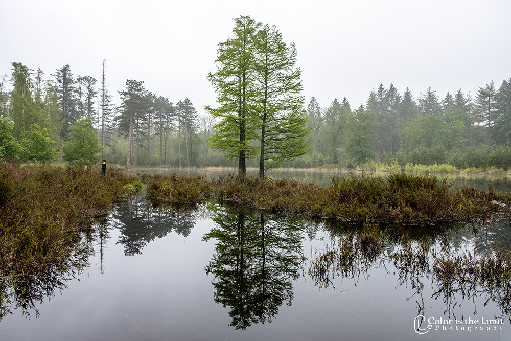 Project 'Het Verdronken Bankje' | Kromven, Stiphoutse bossen