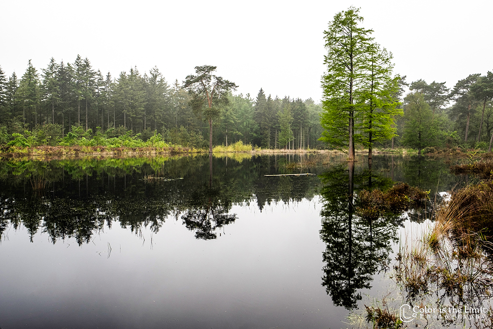 Project 'Het Verdronken Bankje' | Kromven, Stiphoutse bossen