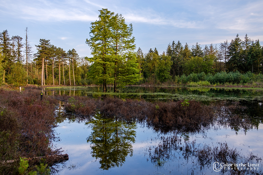 Project 'Het Verdronken Bankje' | Kromven, Stiphoutse bossen