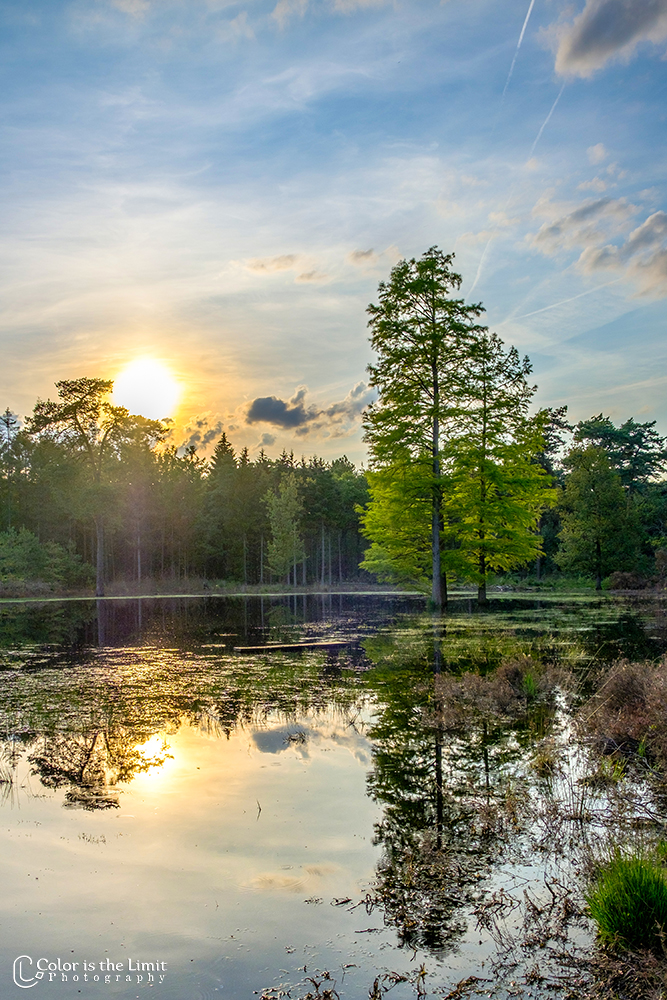 Project 'Het Verdronken Bankje' | Kromven, Stiphoutse bossen