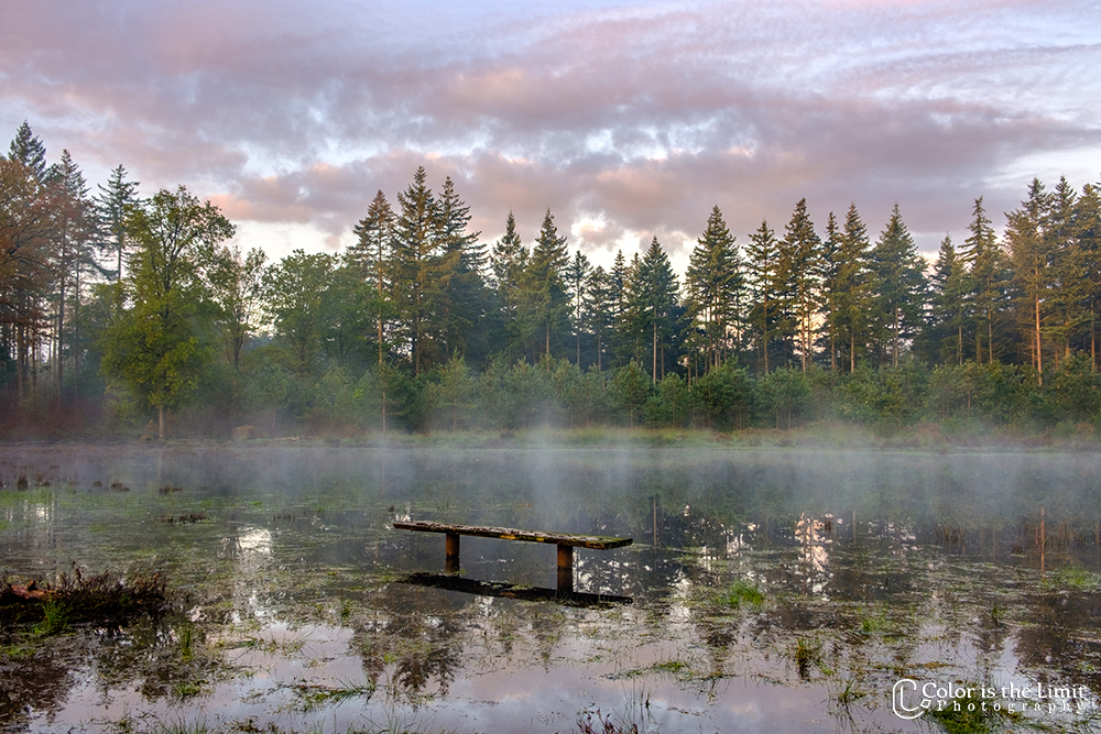 Project 'Het Verdronken Bankje' | Kromven, Stiphoutse bossen