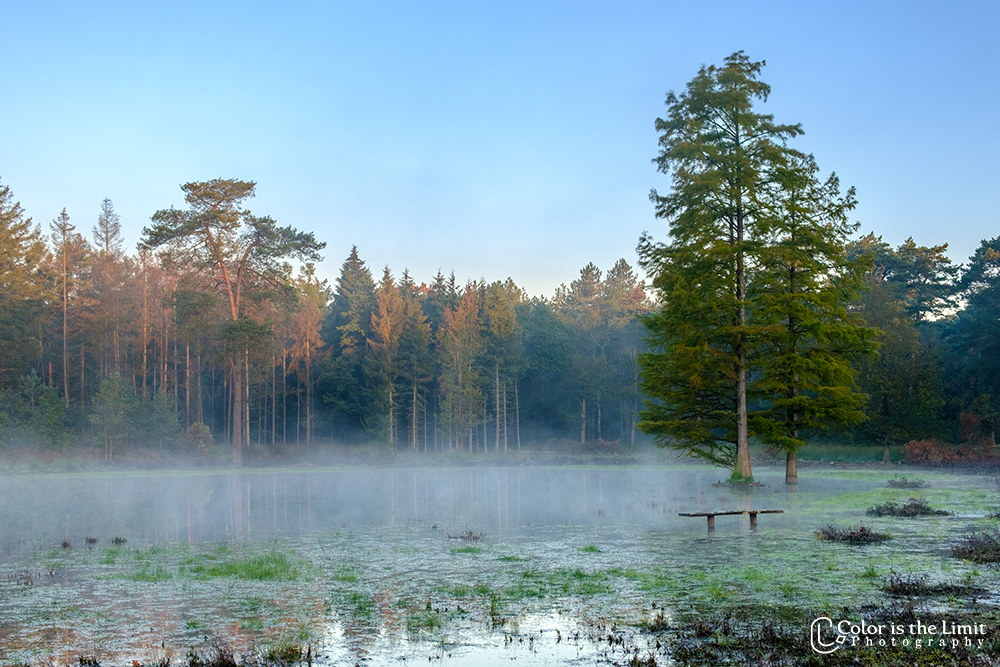 Project 'Het Verdronken Bankje' | Kromven, Stiphoutse bossen