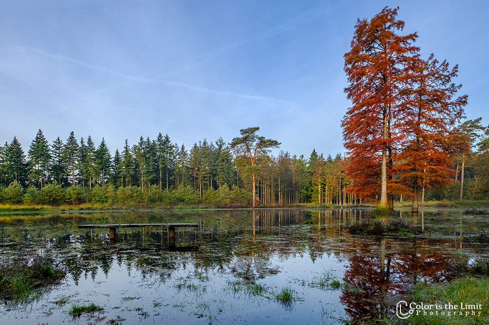 Project 'Het Verdronken Bankje' | Kromven, Stiphoutse bossen
