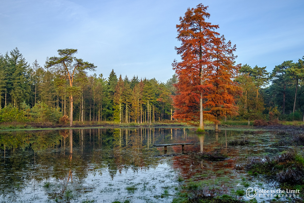 Project 'Het Verdronken Bankje' | Kromven, Stiphoutse bossen