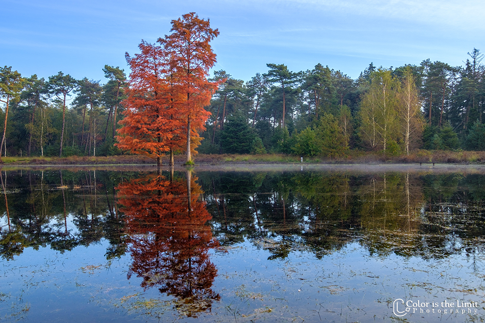 Project 'Het Verdronken Bankje' | Kromven, Stiphoutse bossen