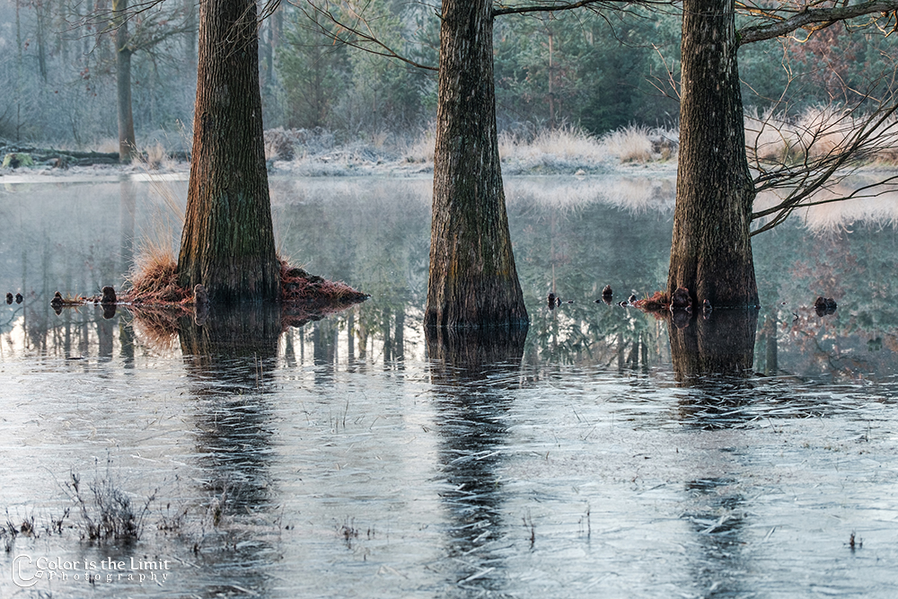 Project 'Het Verdronken Bankje' | Kromven, Stiphoutse bossen