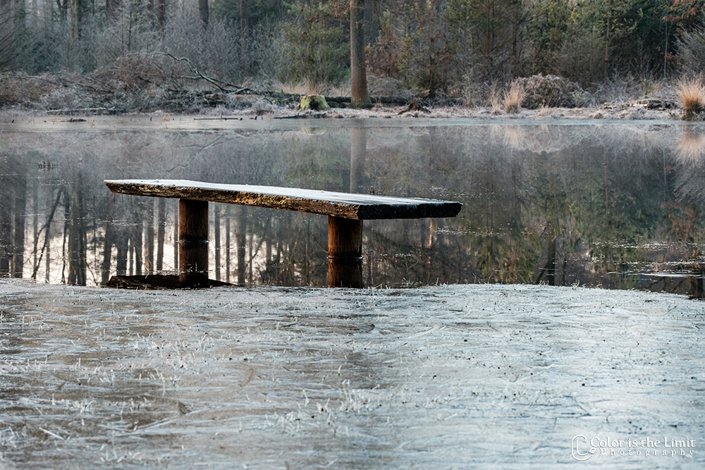Project 'Het Verdronken Bankje' | Kromven, Stiphoutse bossen