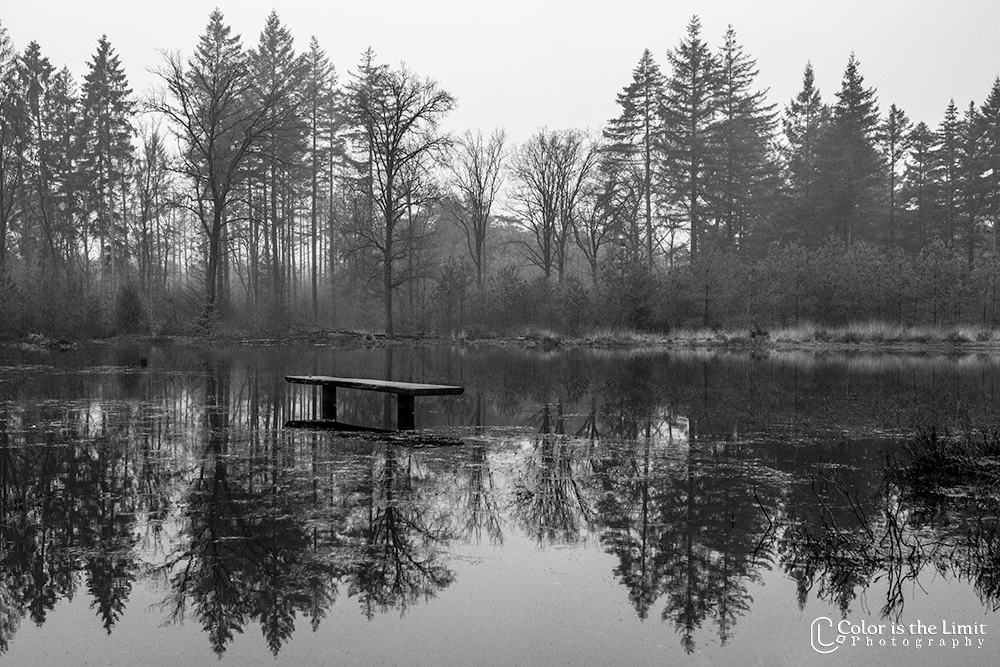 Project 'Het Verdronken Bankje' | Kromven, Stiphoutse bossen