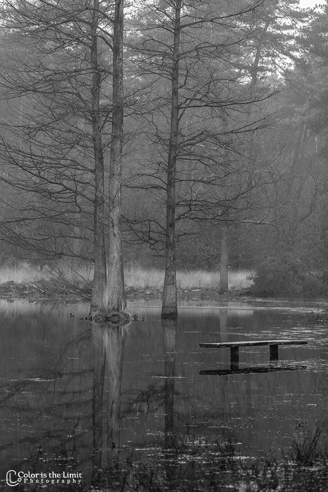 Project 'Het Verdronken Bankje' | Kromven, Stiphoutse bossen