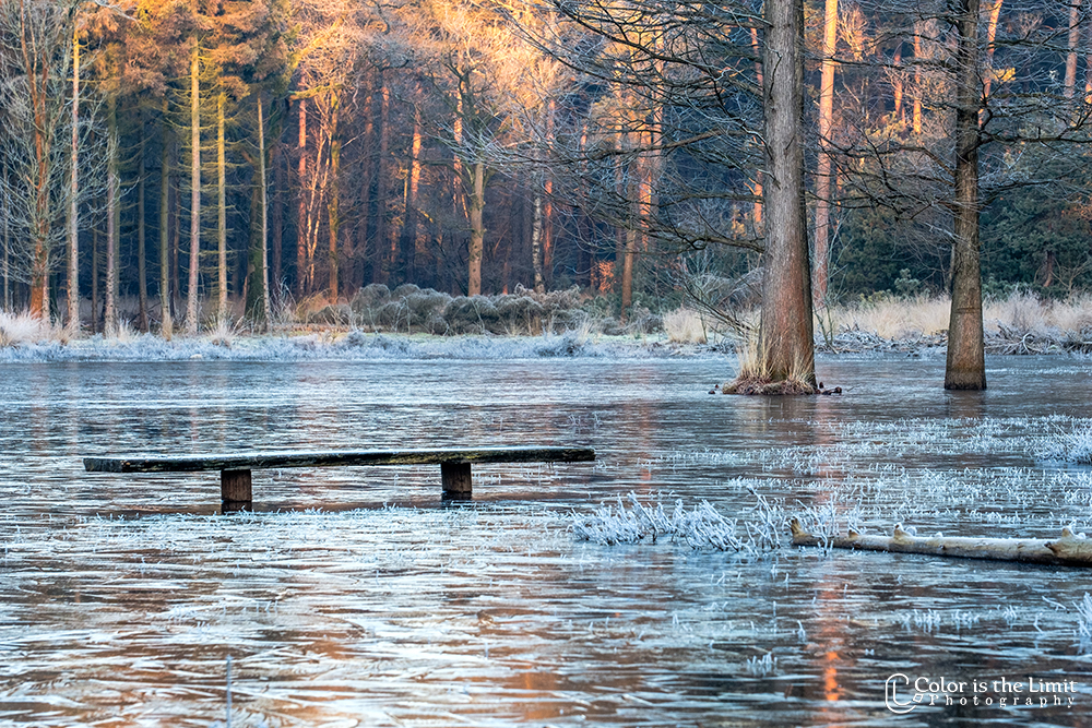Winterse ochtend in de Stiphoutse bossen