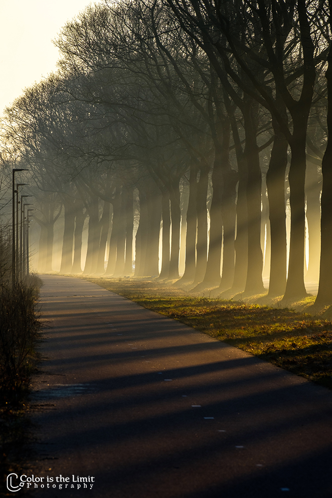 Zonsopkomst | Stiphoutse bossen