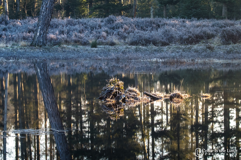 Kromven | Stiphoutse bossen