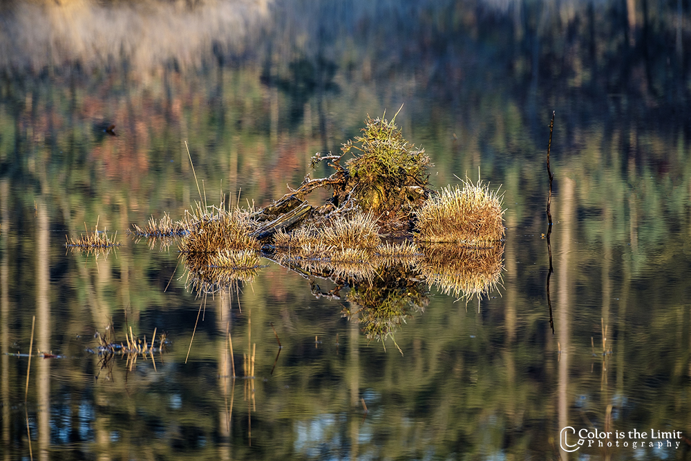 Kromven | Stiphoutse bossen