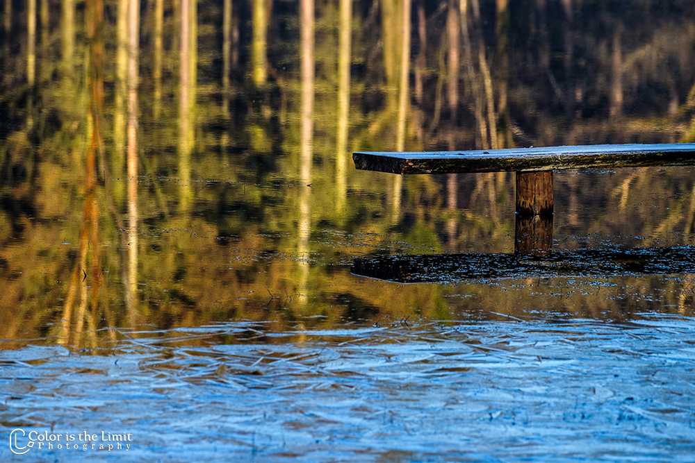 Kromven | Stiphoutse bossen