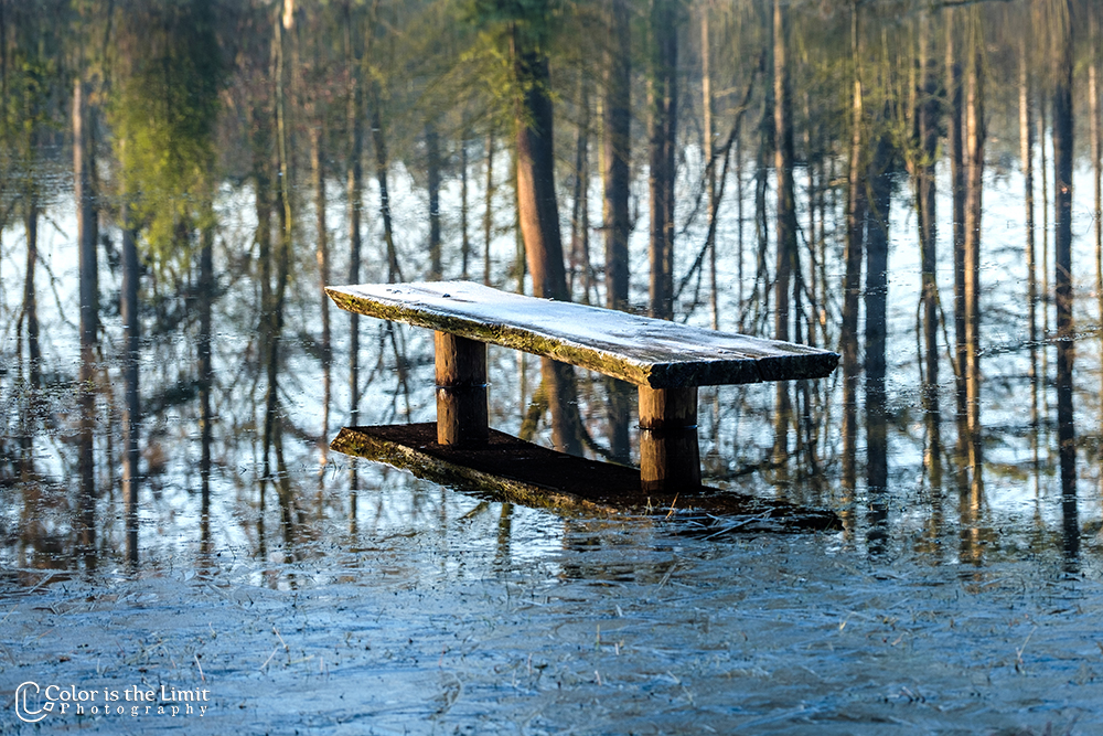 Kromven | Stiphoutse bossen