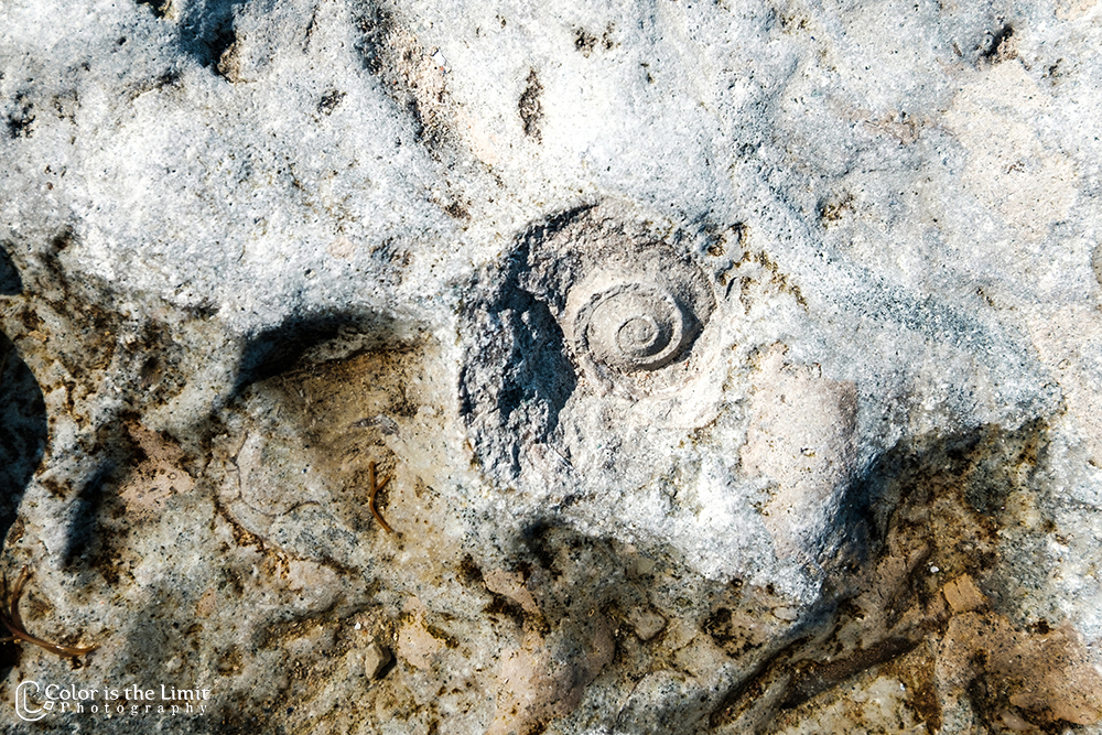 Neptuni Åkrar - Byxelkrok - Öland - Sverige