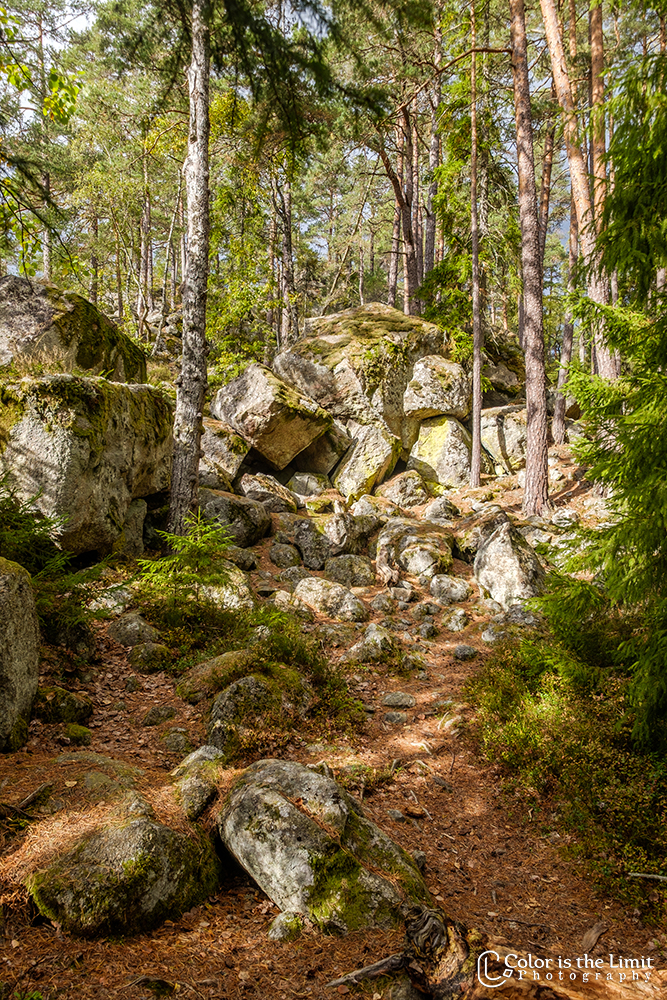 Stora Trehörningen - Tivedens National Park - Sverige