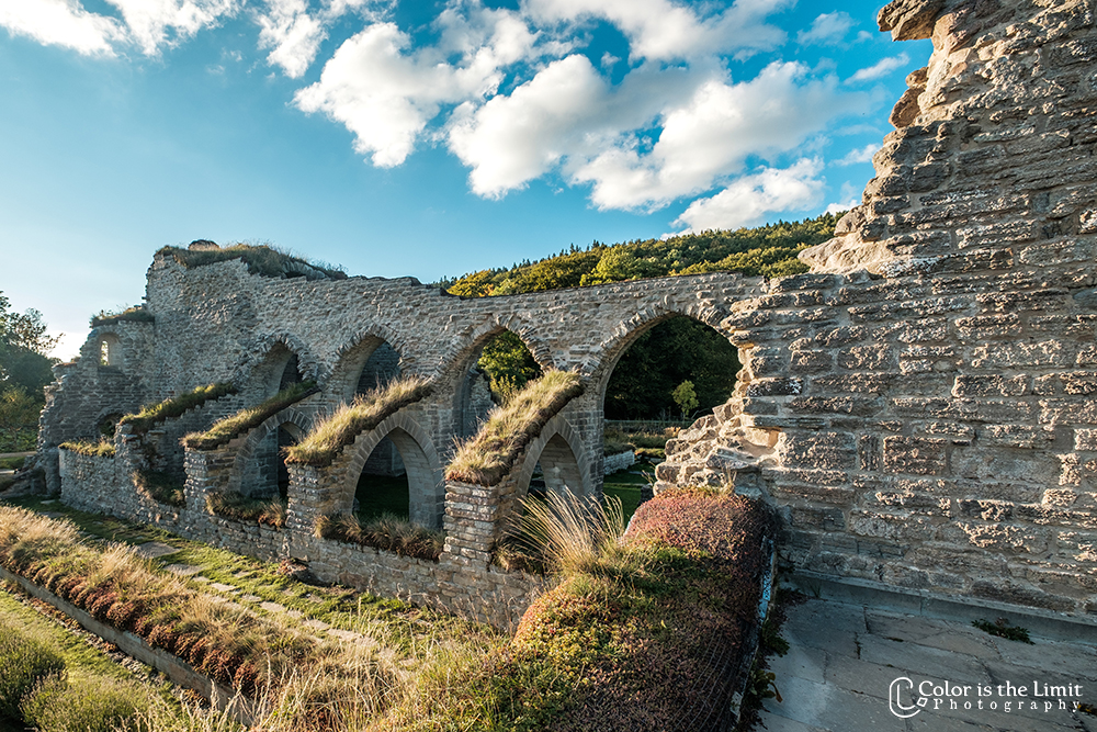 Sverige | Alvastra Kloserruin Ödeshog