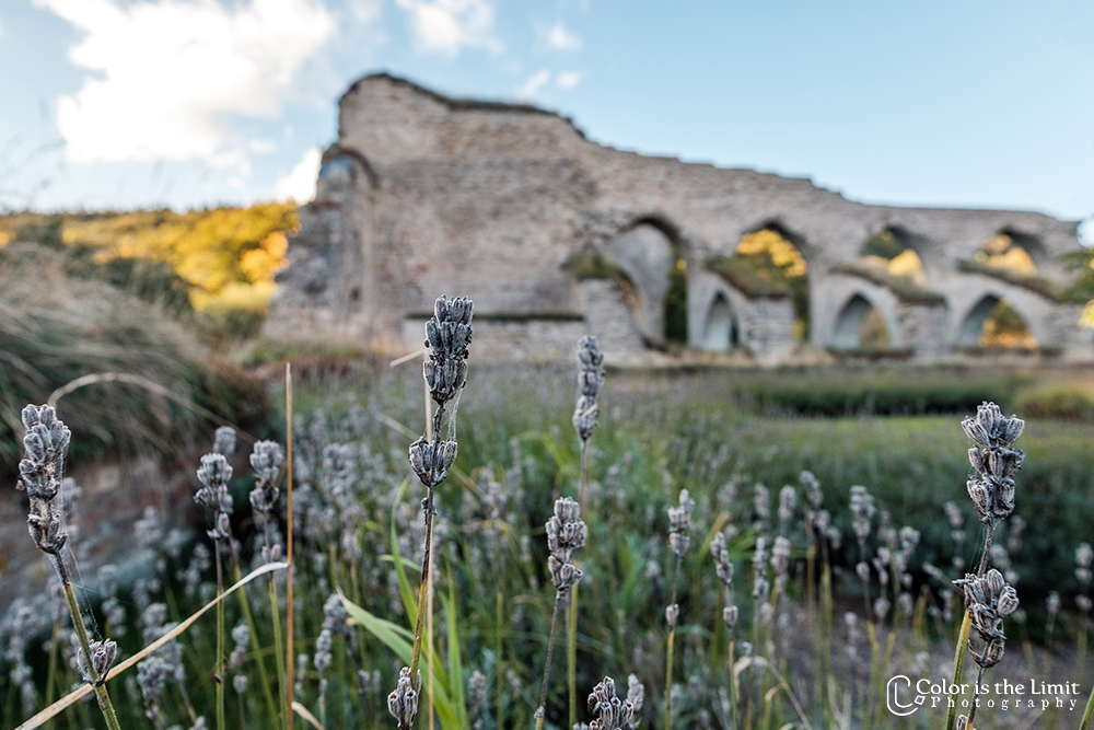 Sverige | Alvastra Kloserruin Ödeshog