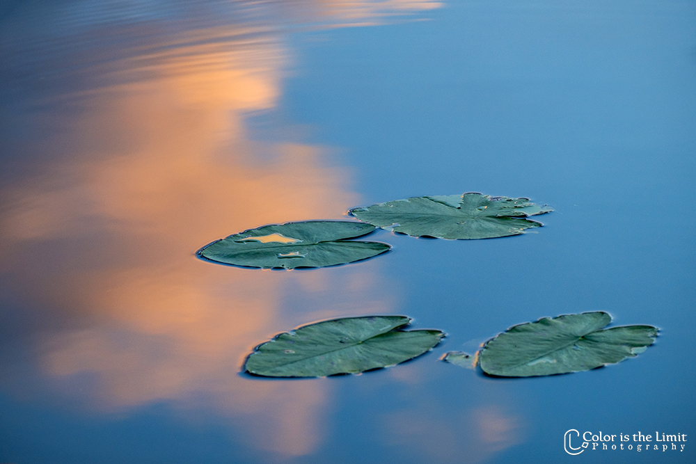 Åsbro Kyrksjön Sverige