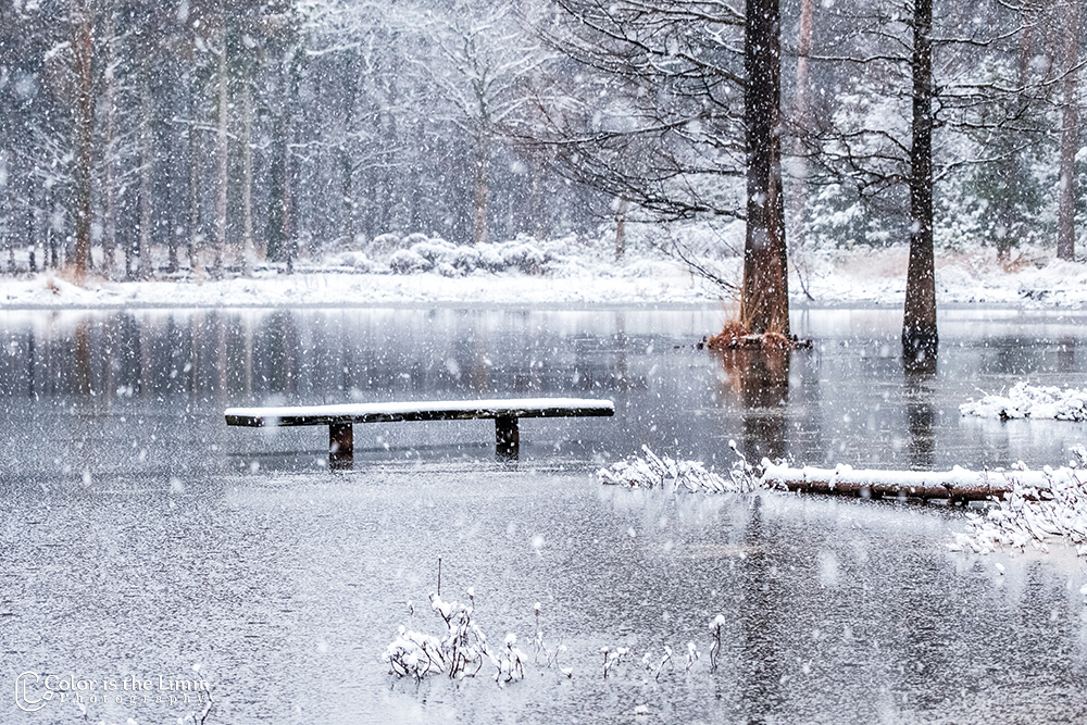 Project 'Het Verdronken Bankje' II | Kromven, Stiphoutse bossen