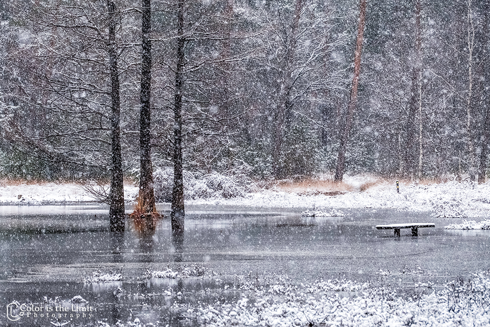 Project 'Het Verdronken Bankje' II | Kromven, Stiphoutse bossen