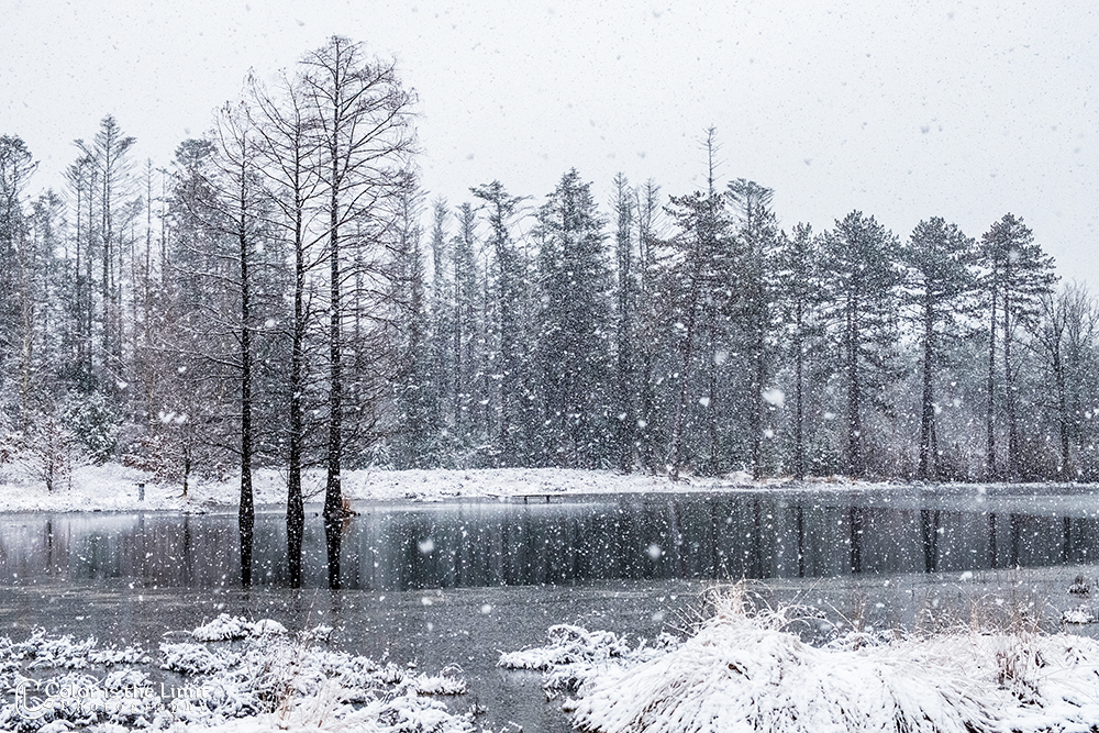 Project 'Het Verdronken Bankje' II | Kromven, Stiphoutse bossen