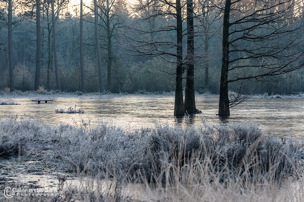 Project 'Het Verdronken Bankje' II | Kromven, Stiphoutse bossen
