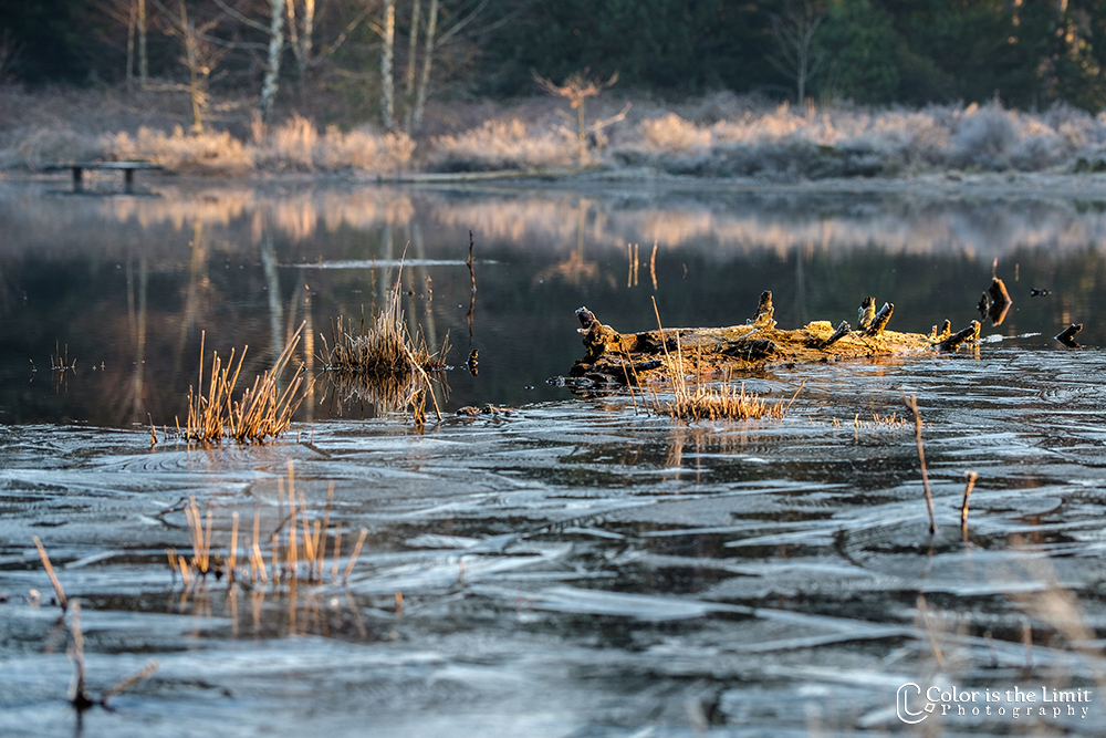 Project 'Het Verdronken Bankje' II | Kromven, Stiphoutse bossen