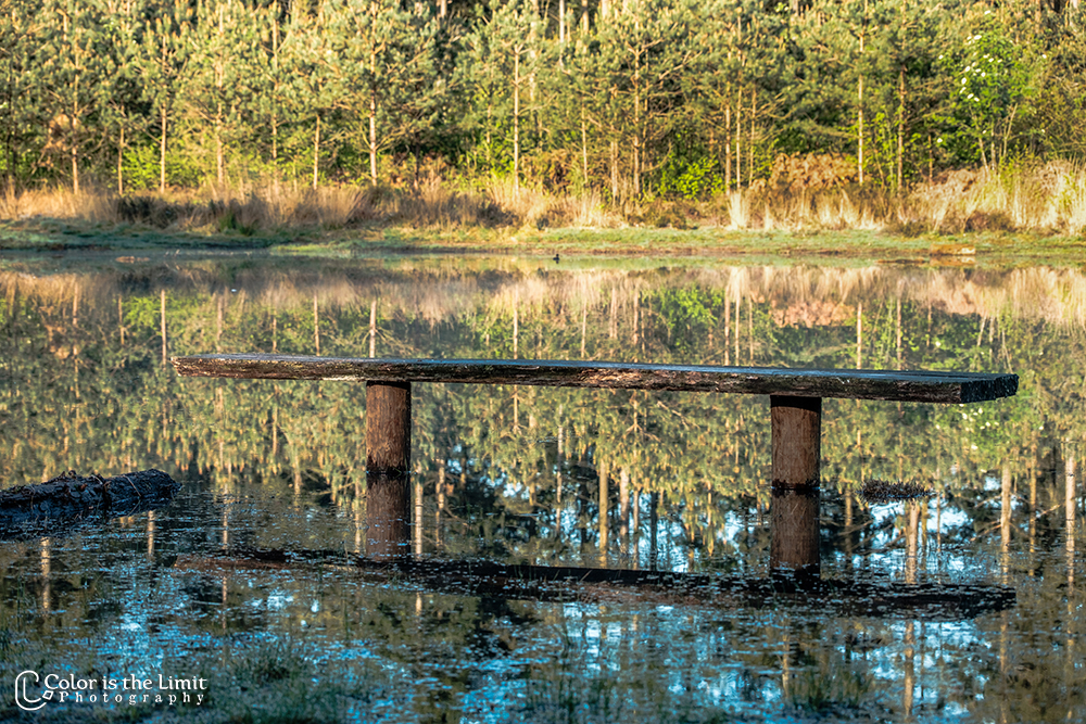 Project 'Het Verdronken Bankje' II | Kromven, Stiphoutse bossen