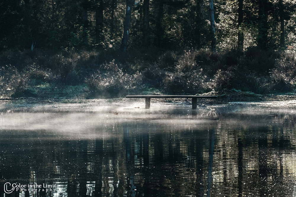 Project 'Het Verdronken Bankje' II | Kromven, Stiphoutse bossen